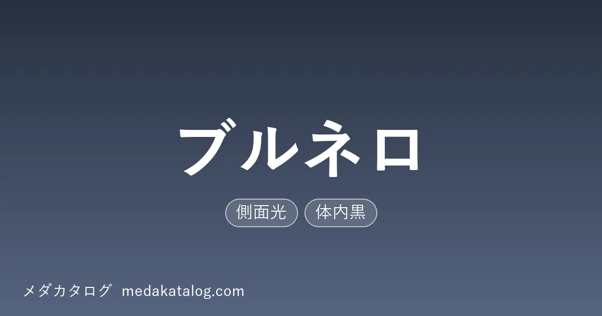ブルネロとはのアイキャッチ画像