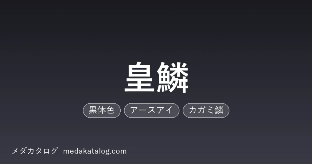 皇鱗のアイキャッチ画像