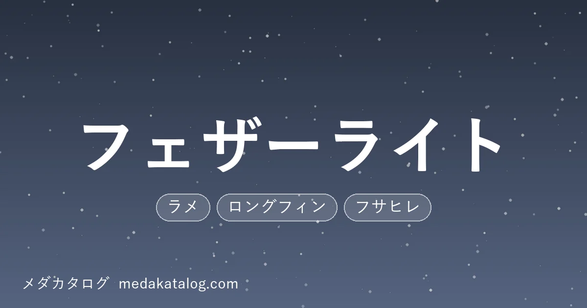 フェザーライトとはのアイキャッチ画像