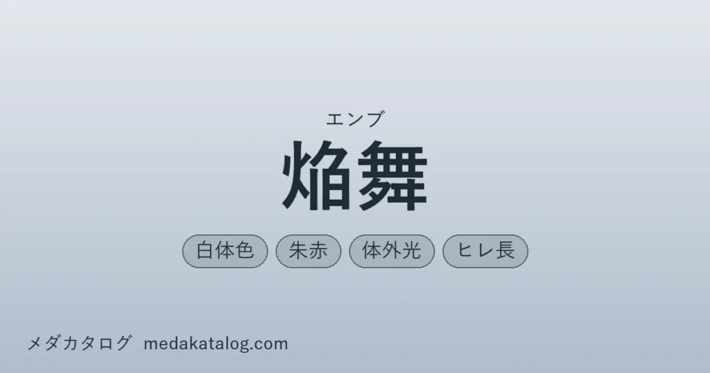 焔舞とはのアイキャッチ画像