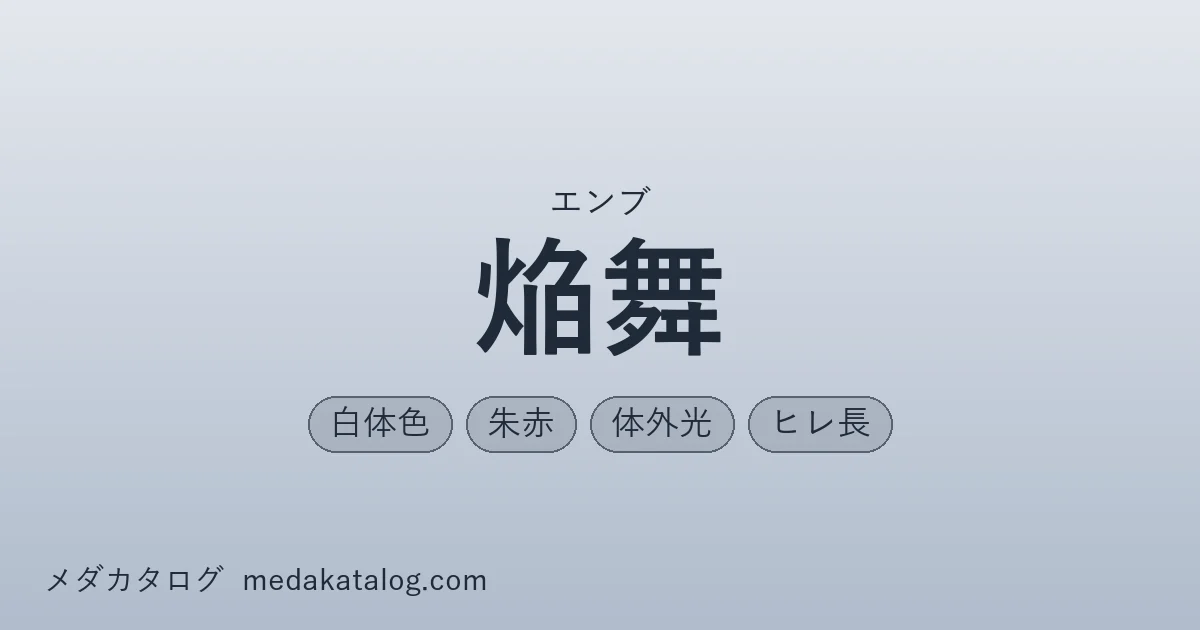 焔舞とはのアイキャッチ画像