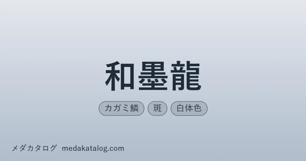 和墨龍とはのアイキャッチ画像