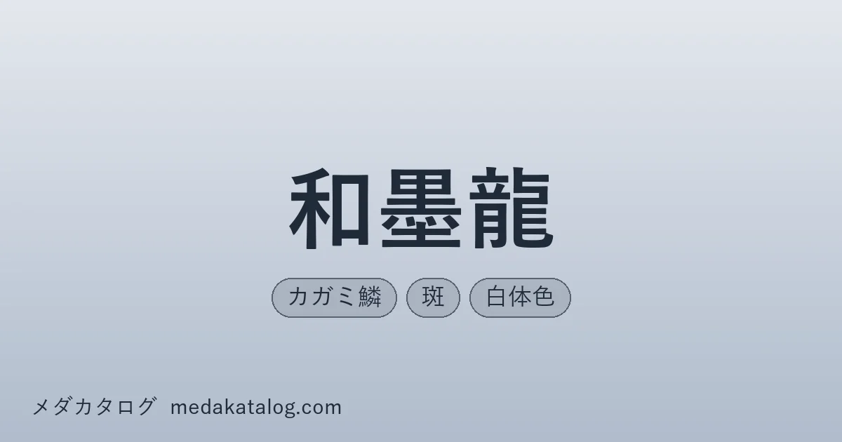 和墨龍とはのアイキャッチ画像