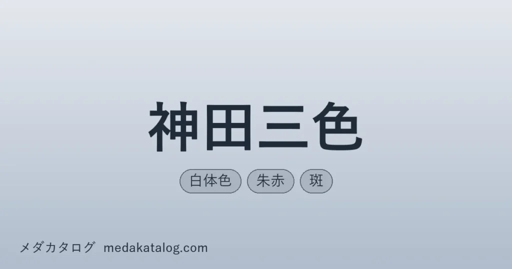 神田三色とはのアイキャッチ画像