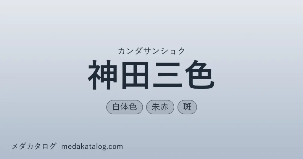 神田三色のアイキャッチ画像
