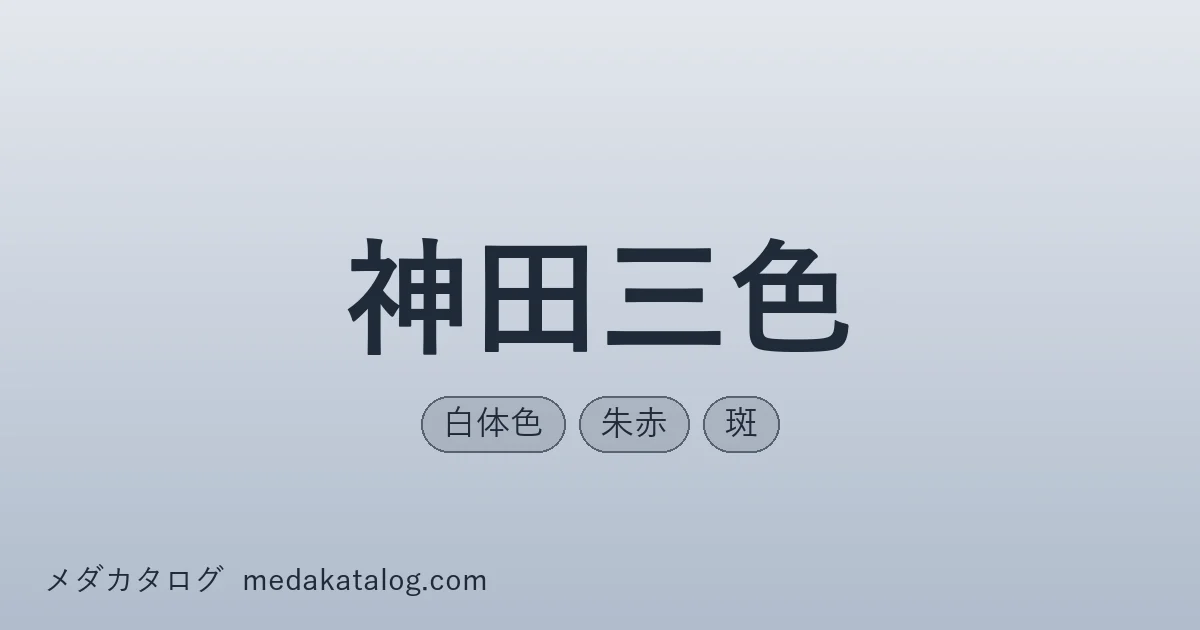 神田三色とはのアイキャッチ画像