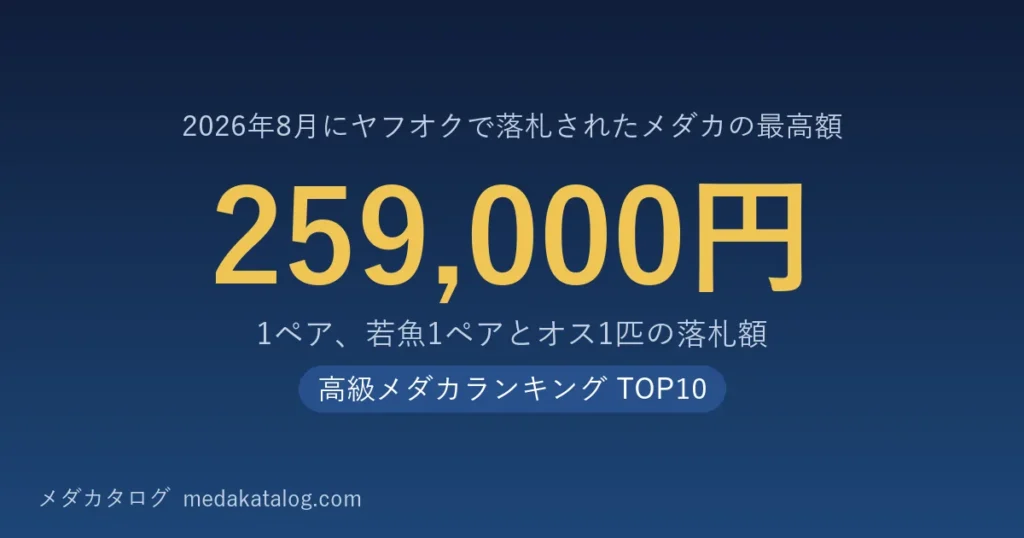 高級メダカランキング 2026年8月版のアイキャッチ。8月にヤフオクで落札されたメダカの最高額は1ペア、若魚1ペアとオス1匹で259,000円