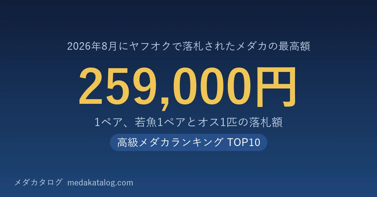高級メダカランキング 2026年8月版のアイキャッチ。8月にヤフオクで落札されたメダカの最高額は1ペア、若魚1ペアとオス1匹で259,000円