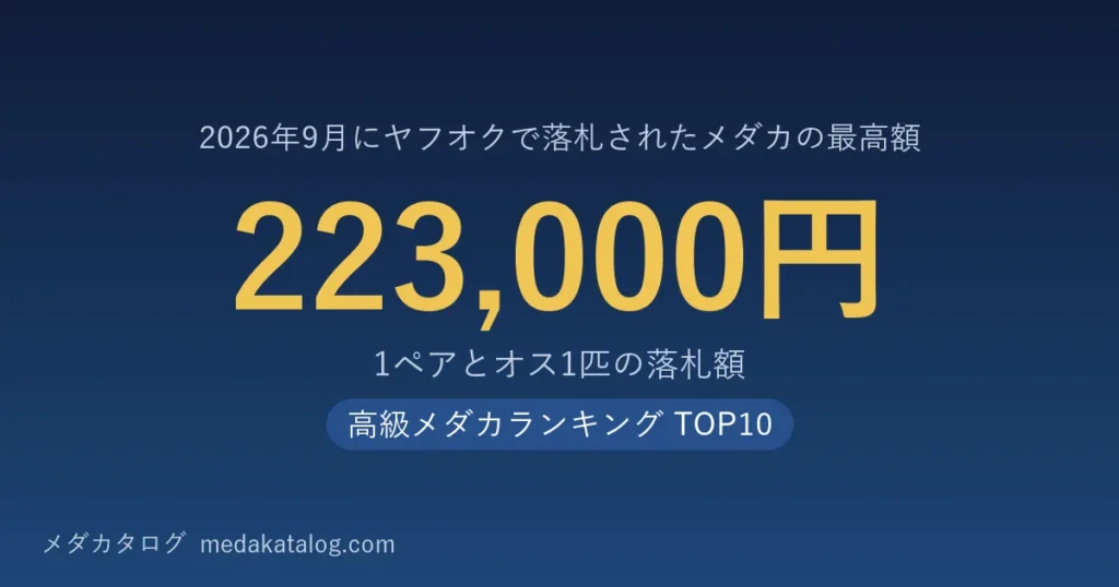 高級メダカランキング 2026年9月版のアイキャッチ。2026年9月にヤフオクで落札されたメダカの最高額は1ペアとオス1匹で223,000円