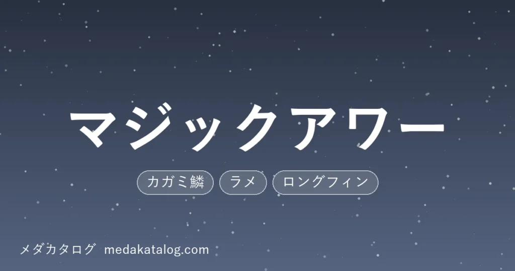 マジックアワーとはのアイキャッチ画像