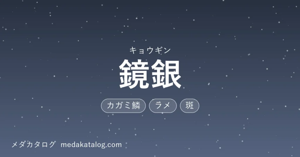 鏡銀とはのアイキャッチ画像