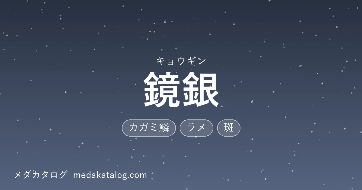 鏡銀とはのアイキャッチ画像