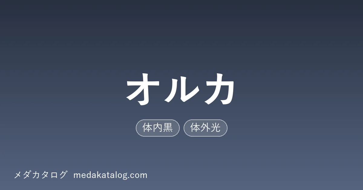 オルカとはのアイキャッチ画像