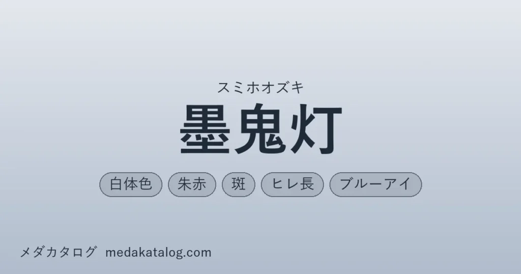 墨鬼灯とはのアイキャッチ画像