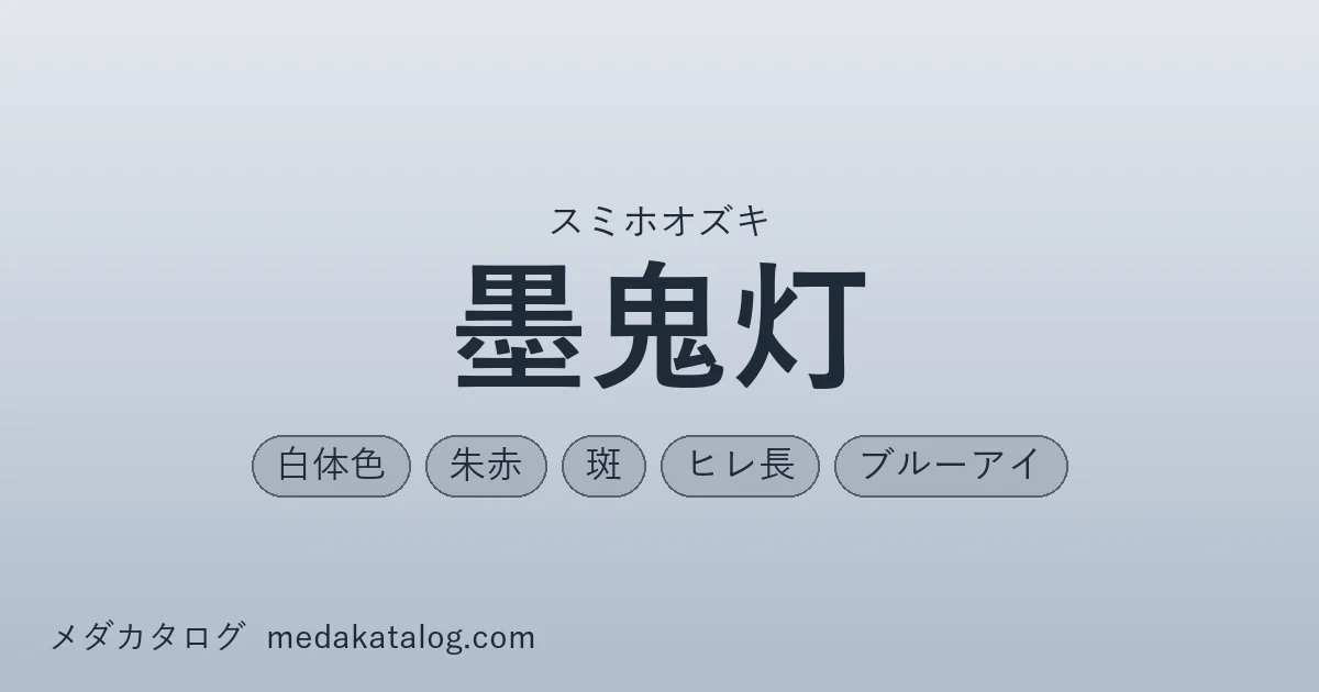墨鬼灯とはのアイキャッチ画像