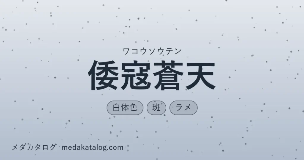 倭寇蒼天とはのアイキャッチ画像
