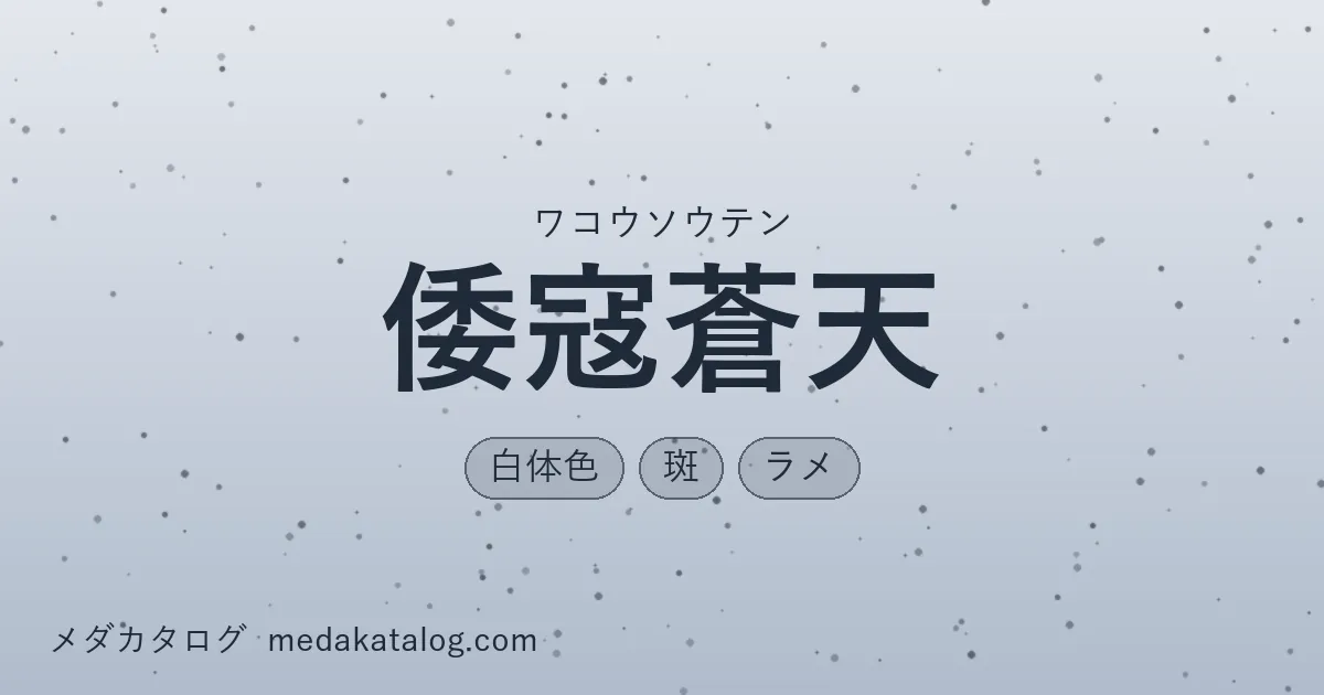 倭寇蒼天とはのアイキャッチ画像