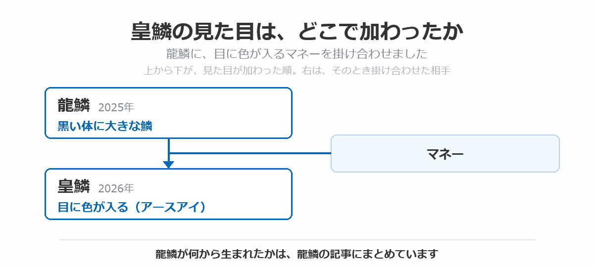 皇鱗の血統図。黒い体に大きな鱗を持つ龍鱗にマネーを掛け合わせて、目に色が入る(アースアイ)皇鱗(2026年)が生まれた流れを、上から下へ矢印で示している