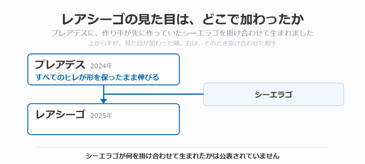 レアシーゴの血統図。すべてのヒレが形を保ったまま伸びるプレアデス（2024年）に、作り手が先に作っていたシーエラゴを掛け合わせて、レアシーゴ（2025年）が生まれた流れを、上から下へ矢印で示している
